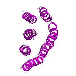 Image of CATH 1brdA00