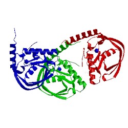 Image of CATH 1bs7