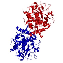 Image of CATH 1bt2