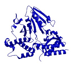 Image of CATH 1bt4