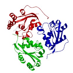 Image of CATH 1bux