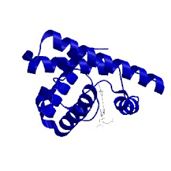 Image of CATH 1bvd