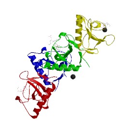 Image of CATH 1bvi