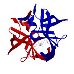 Image of CATH 1bwa