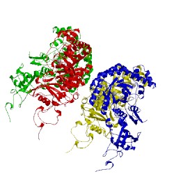 Image of CATH 1bwv