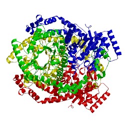 Image of CATH 1bxc