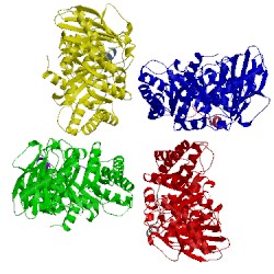 Image of CATH 1bxn