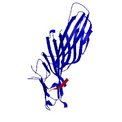 Image of CATH 1bxx