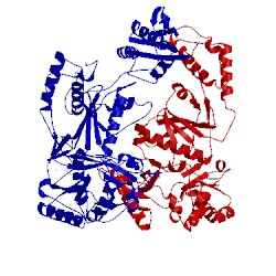 Image of CATH 1c1c