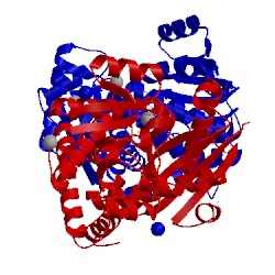 Image of CATH 1c1d