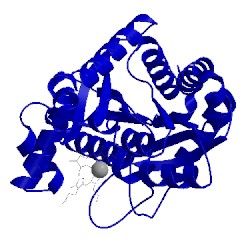 Image of CATH 1c1h