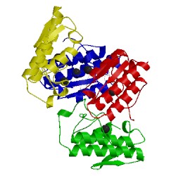 Image of CATH 1c1j