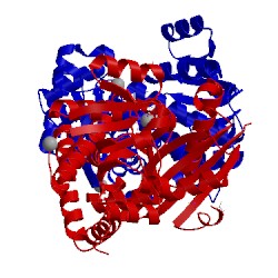 Image of CATH 1c1x