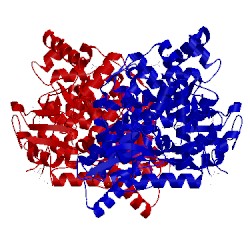 Image of CATH 1c2p
