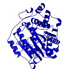 Image of CATH 1c3p