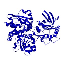 Image of CATH 1c4a