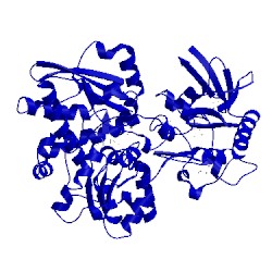 Image of CATH 1c4c
