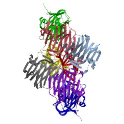 Image of CATH 1c4r