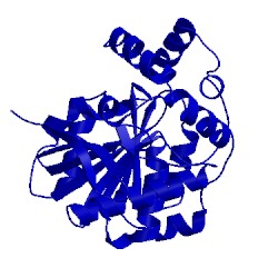 Image of CATH 1c4x