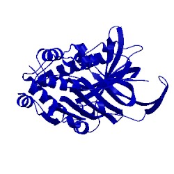 Image of CATH 1c5g