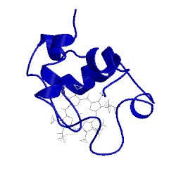 Image of CATH 1c6s