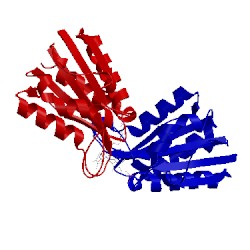 Image of CATH 1c7e