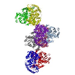 Image of CATH 1c7o