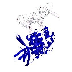 Image of CATH 1c7y