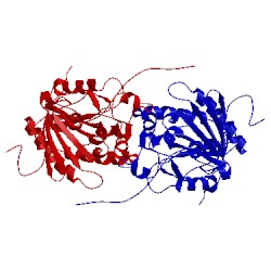 Image of CATH 1c8b
