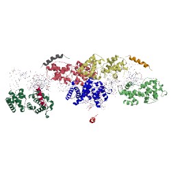 Image of CATH 1c9b