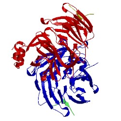 Image of CATH 1c9l