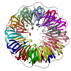Image of CATH 1c9s