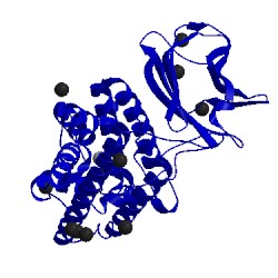 Image of CATH 1ca1