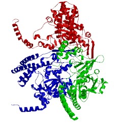 Image of CATH 1cb5