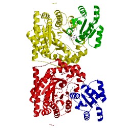 Image of CATH 1cb7