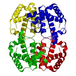 Image of CATH 1cbm