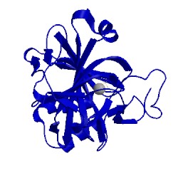 Image of CATH 1ccu