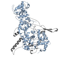 Image of CATH 1cd3