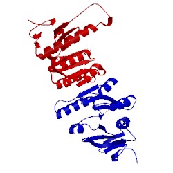 Image of CATH 1cdd