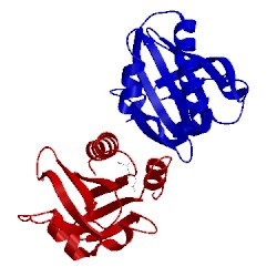 Image of CATH 1cf0
