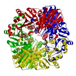 Image of CATH 1cf2