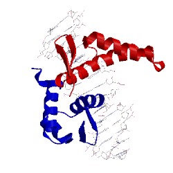 Image of CATH 1cf7