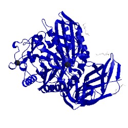 Image of CATH 1cgv