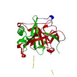 Image of CATH 1cho