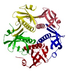 Image of CATH 1chq