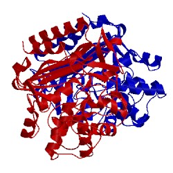 Image of CATH 1ci9