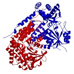 Image of CATH 1cj0