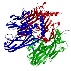 Image of CATH 1cjd