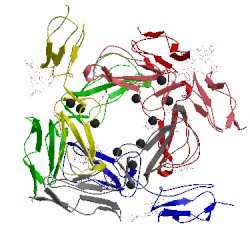 Image of CATH 1ckl