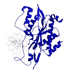 Image of CATH 1ckq